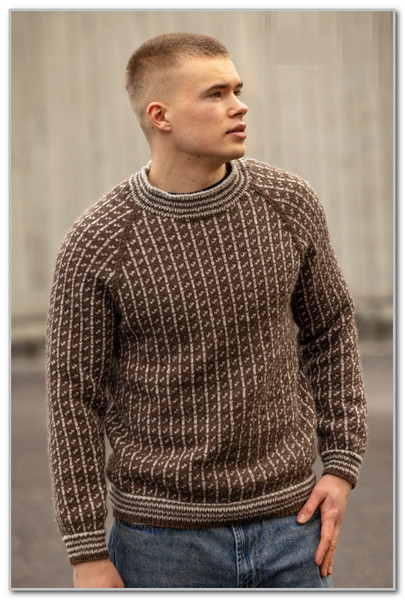 Классический двухцветный пуловер-реглан. Размеры: XS (S) M (L) XL (XXL) XXXL