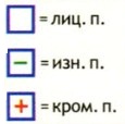 Вязание спицами. Схема рельефного узора для мужского пуловера-поло